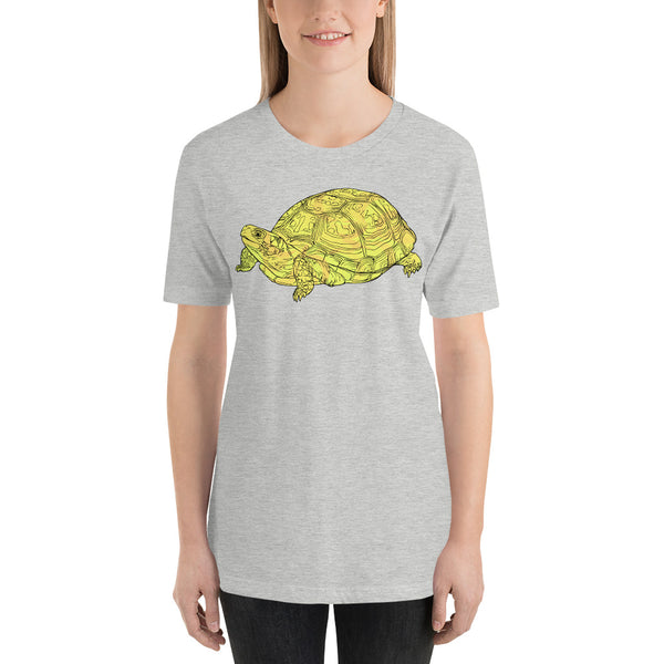 Simple Yellow Turtle
