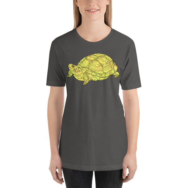 Simple Yellow Turtle