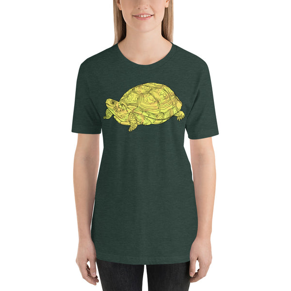 Simple Yellow Turtle