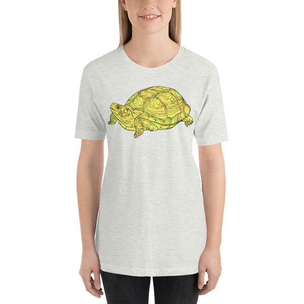 Simple Yellow Turtle